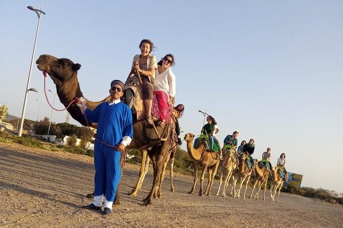 Essaouira Activities: Discover Essaouira by Quad - Who Should Book This Essaouira Riding Experience