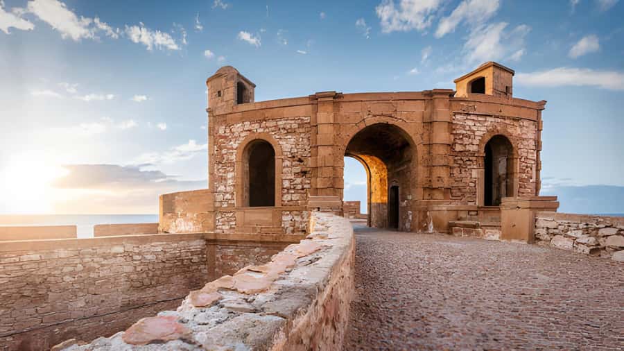 Essaouira Day Trip from Agadir - Price and logistics: what you’re paying for at around $43