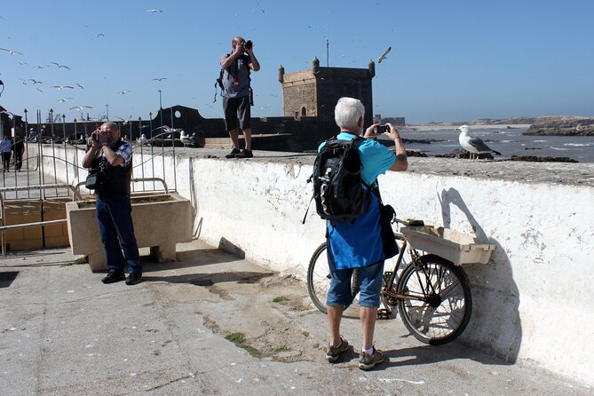 Essaouira day trip from Marrakech - Guides who keep the day calm: friendly hosting and practical suggestions