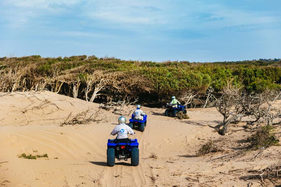 Essaouira Sand Dunes: Half Day Quad Bike Tour - Who should book this quad dune tour (and who should skip it)