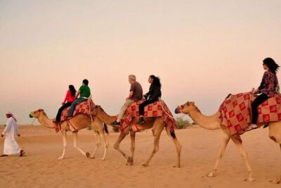 Evening Desert Adventure: Quad Biking, Sandboarding & Camel Ride - Camel ride and dune bashing: the rollercoaster combo