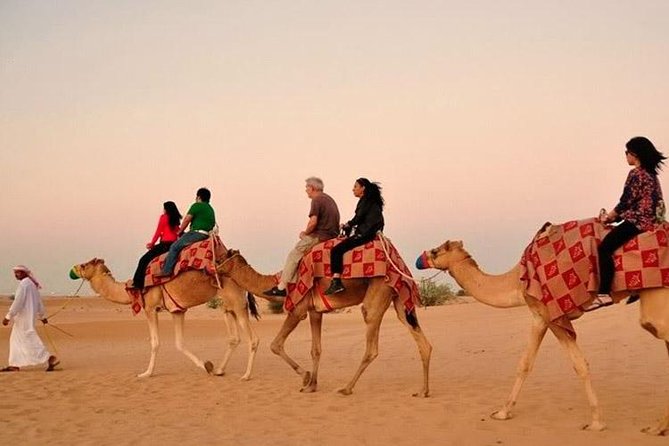 Evening Desert Adventure: Quad Biking, Sandboarding & Camel Ride - Camel ride and dune bashing: the rollercoaster combo