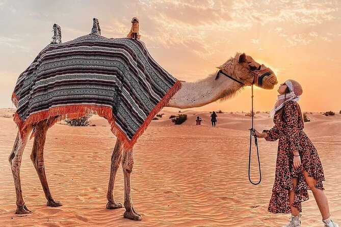 Evening Desert Safari & BBQ With Live Shows,Camel Ride,Falcon pic - The guides make the night: names you might hear and what to look for