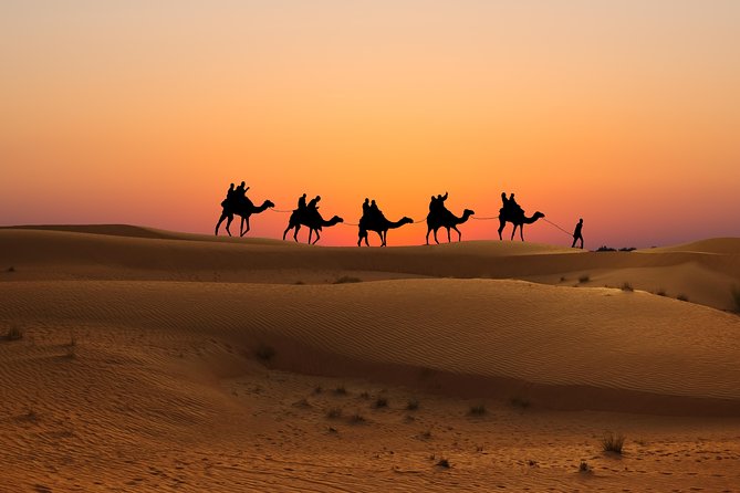 Evening Desert Safari in Dubai, Sandboard & BBQ Dinner - Who This Safari Fits Best (and Who Should Rethink)