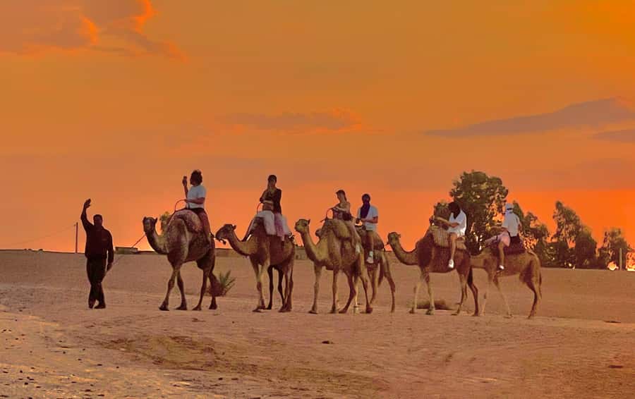 Evening Marrakech: Agafay Desert Quad , Camel & Dinner Shows - Should you book this tour or choose something else?