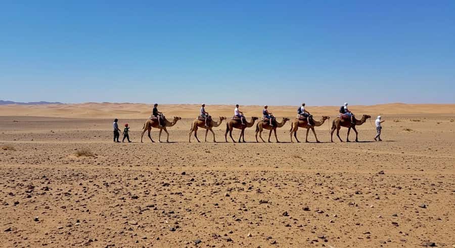 Evening Marrakech: Agafay Desert Quad , Camel & Dinner Shows - Price and value: why $23 can feel like a steal