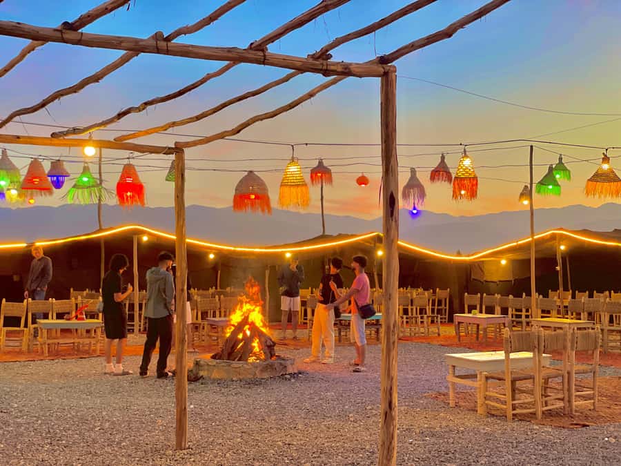 Evening Marrakech: Agafay Desert Quad , Camel & Dinner Shows - Argan oil cooperative stop: tea, samples, and real craft