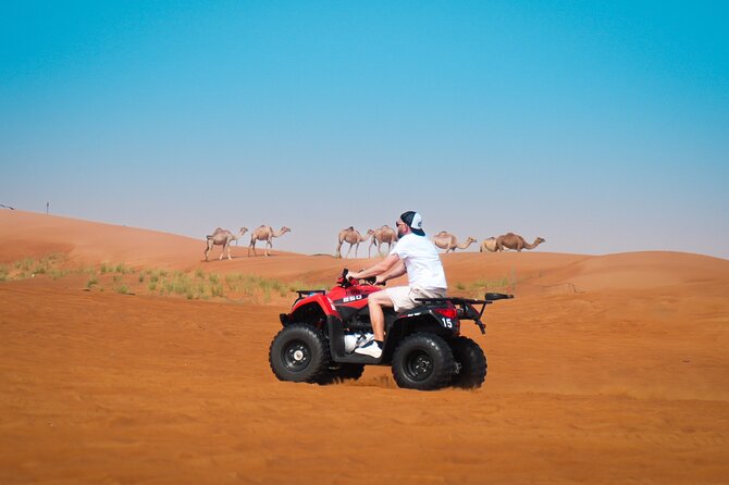Evening Quad Bike, Desert Safari in Dubai , BBQ Dinner and Shows - Pickup, Timing, and the 7-Hour Rhythm