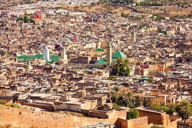 Exclusive Fez Medina Walking Tour with Private Guide - Chouara Tannery: watching a centuries-old industry in motion