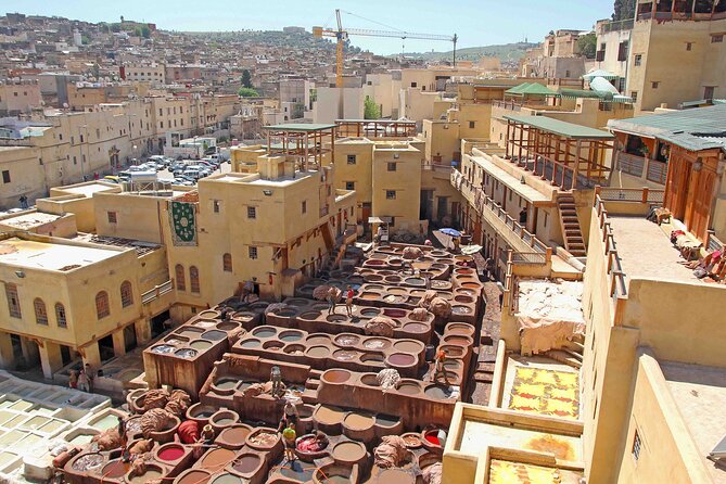 Exclusive Fez Medina Walking Tour with Private Guide - Rainbow Street Art: a break from old walls