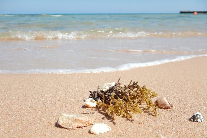 Excursion to the White Island & Ras Mohammed National Park from Sharm El Sheikh - Tips that make a difference on the Red Sea