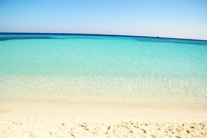 Excursion to the White Island & Ras Mohammed National Park from Sharm El Sheikh - Who should book this trip (and who may want a different option)