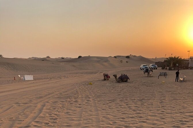 Exhilarating Desert Safari, Including BBQ Dinner from Dubai - Bedouin-Style Camp: Sandboarding, Camel Riding, and Henna