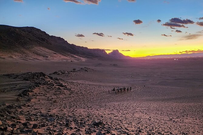 Experience Luxury in Zagora: 2-Day Desert Adventure - Ait Ben Haddou: UNESCO kasbah walking with a licensed guide