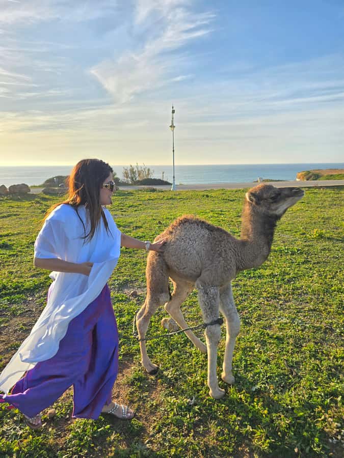 Explore Tangier: Cap Spartel, Cave, & Camel Ride Adventure - Key Points to Know Before You Go