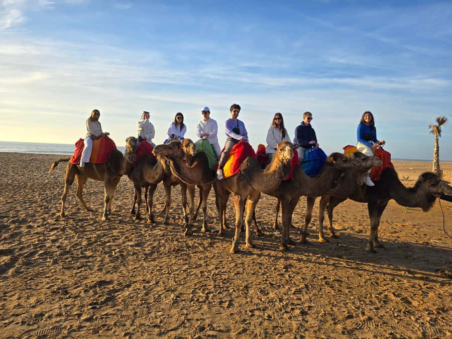 Explore Tangier: Cap Spartel, Cave, & Camel Ride Adventure - Who Should Book This Tour (and Who Should Skip It)