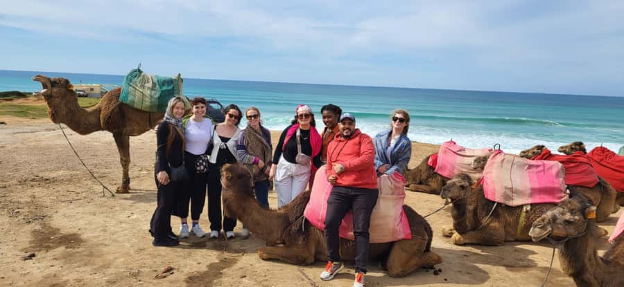 Explore Tangier: Cap Spartel, Cave, & Camel Ride Adventure - Price and Value: Why $33 Can Be a Deal (and When It Isn’t)