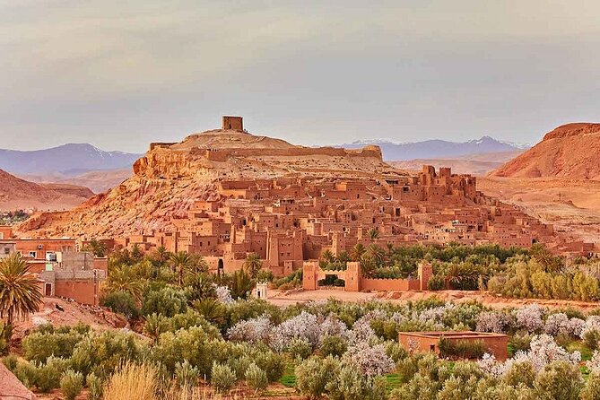 Fabulous 3 Day Desert Adventure to Merzouga with Small Group - Day 2: Todra Gorges, fossils in Erfoud, and the Erg Chebbi dunes