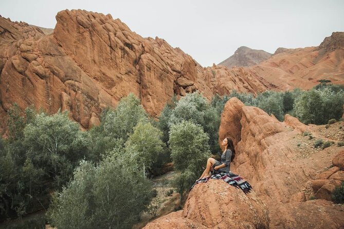 Fabulous 3 Day Desert Adventure to Merzouga with Small Group - Quick note on the small-group feel