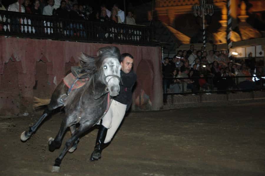 Fantasia 1001 Nights: Dinner + Show from Marrakech - The Fantasia War Ceremony: Horsemen, Adrenaline, and Controlled Chaos