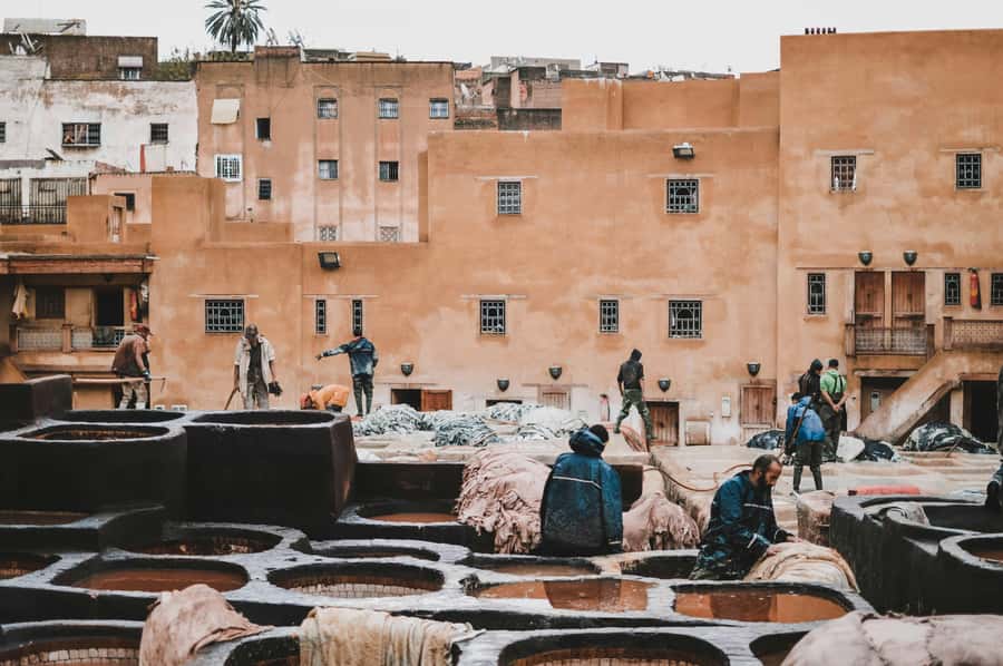 Fes: Royal Palace, Madrasa, Tannery & Souks and Medina Tour - Bou Inania Madrasa: the kind of detail you only notice with a guide