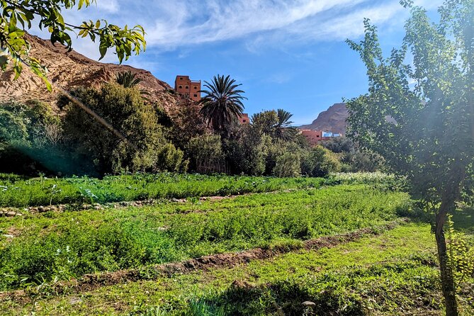 Fes To Marrakech : 3 Days Tour Via The Desert Of Merzouga & Camel - Day 3: Ouarzazate film sites, Ait Ben Haddou, and the High Atlas into Marrakech