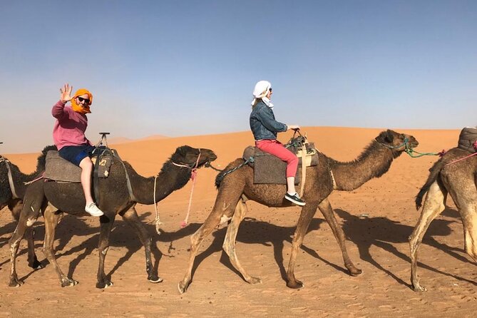 Fes To Marrakech : 3 Days Tour Via The Desert Of Merzouga & Camel - Desert camp night: the part people remember