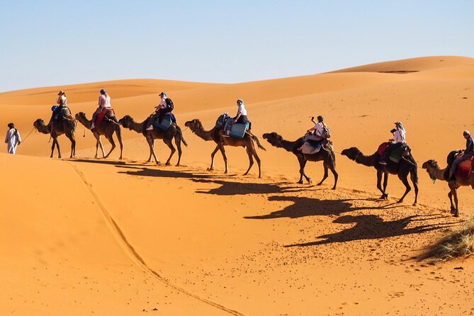 Fes To Marrakech : 3 Days Tour Via The Desert Of Merzouga & Camel - Who this tour fits best