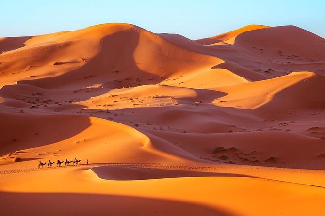 Fes to Marrakech desert tour 3 days - Should you book this Fes to Marrakech desert tour?