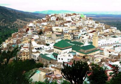 Fes: Volubilis Roman Ruins, Mouly Idriss, & Meknes Day Trip - Volubilis Roman Ruins: what you see and how the 10 EUR ticket fits