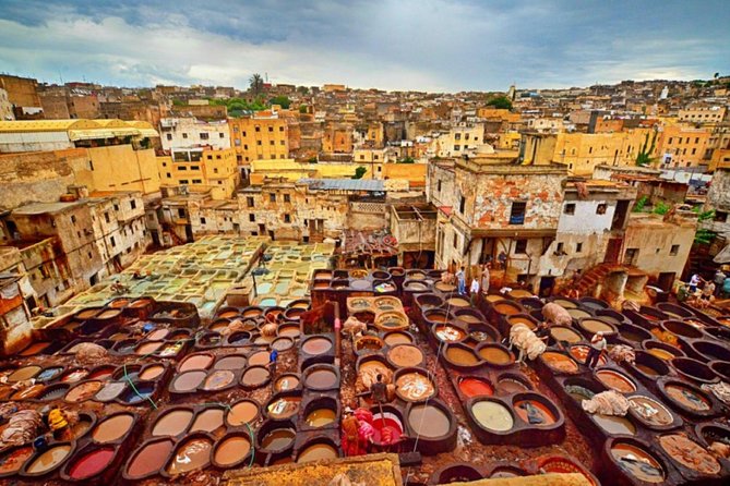 Fez Guided Tour with lunch from Casablanca - Price and Value: Is $184.22 a Good Deal?