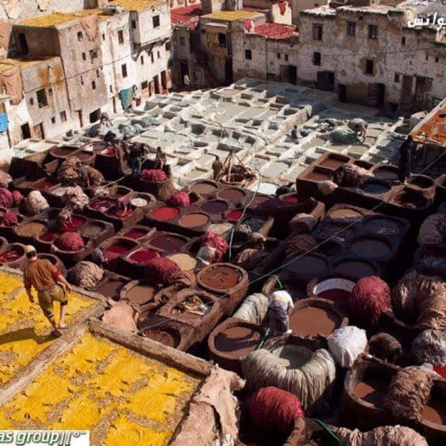 Fez: Guided Walking Tour of the Historic Medina - Who should book this Fez Medina walk