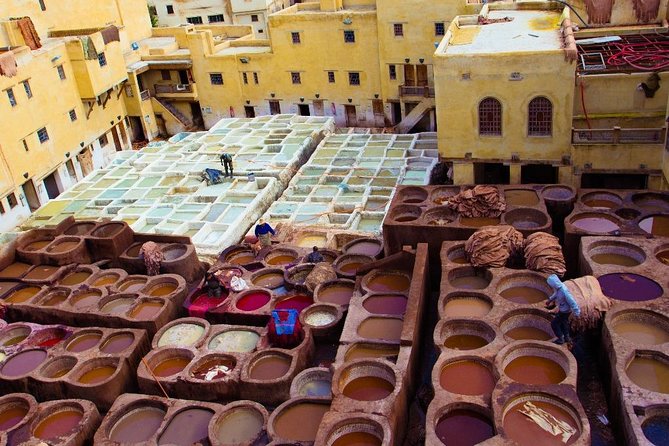Fez Medina 4-Hour Guided Walking Tour - Chouara Tannery: The Working Craft Stop (Yes, It Smells)