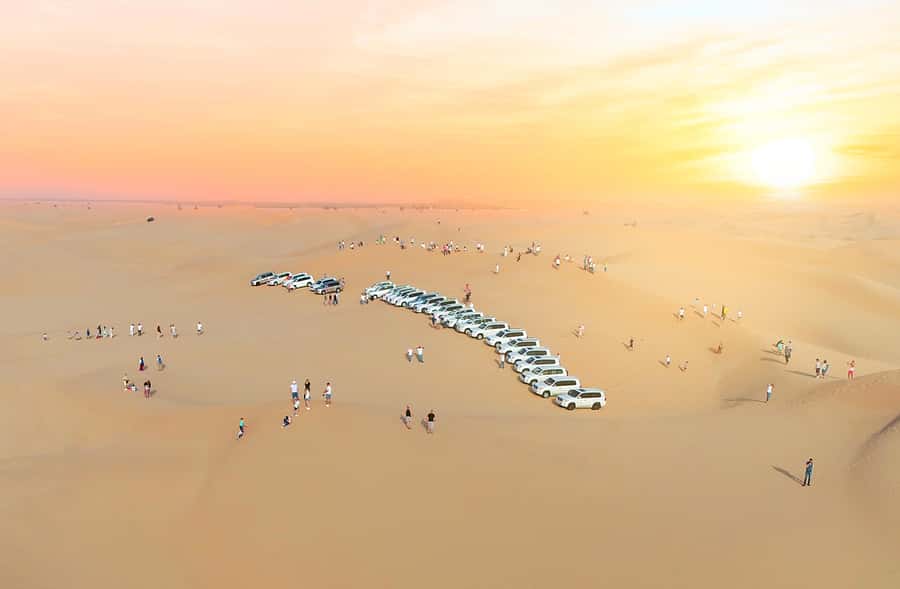 From Abu Dhabi: Dune Bashing Desert Safari - Camel farm break: a short reset before the camp