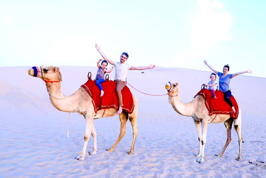 From Abu Dhabi: Dune Bashing Desert Safari - Group size and timing: how it feels in real life