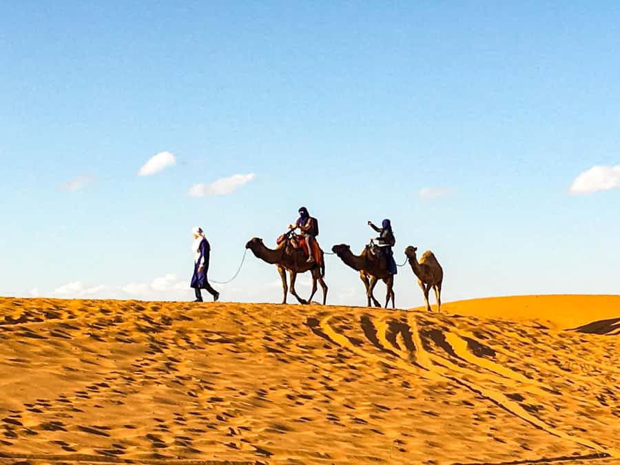From Agadir: 4×4 Jeep Sahara Desert Tour with Lunch - Key highlights to look for before you book