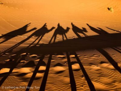 From Agadir: 4×4 Jeep Sahara Desert Tour with Lunch - The morning start: pick-up timing and how the day usually unfolds