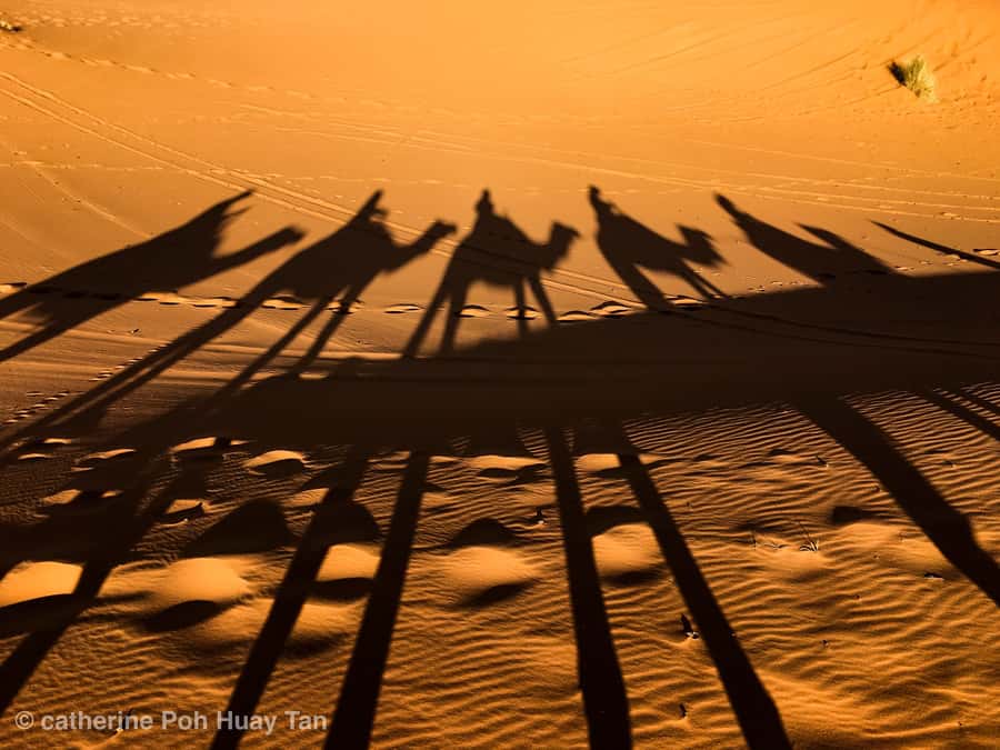 From Agadir: 4×4 Jeep Sahara Desert Tour with Lunch - The morning start: pick-up timing and how the day usually unfolds