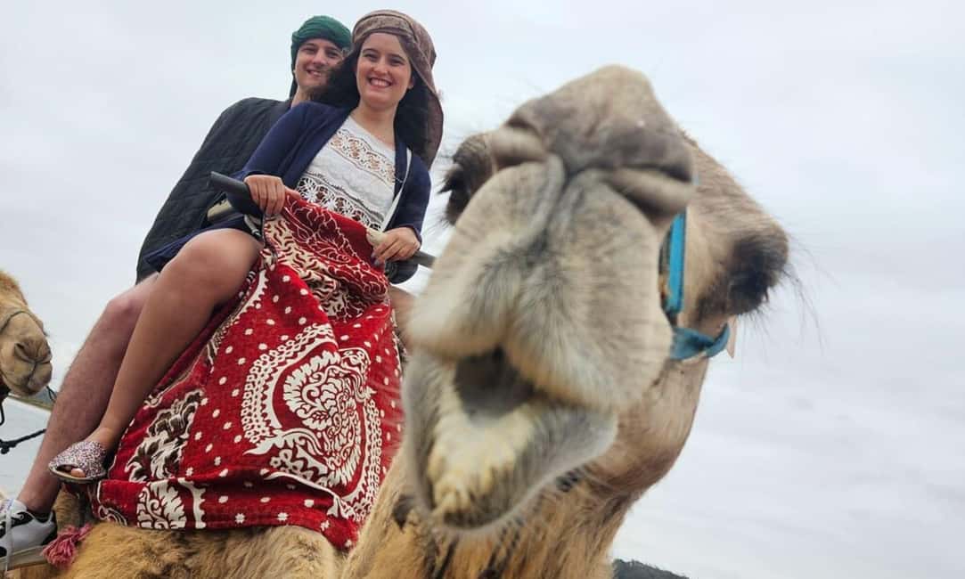 From Agadir: Camel Ride and Flamingo Trek - Souss River Camel Sunset: Why This Isn’t A Sahara Tour