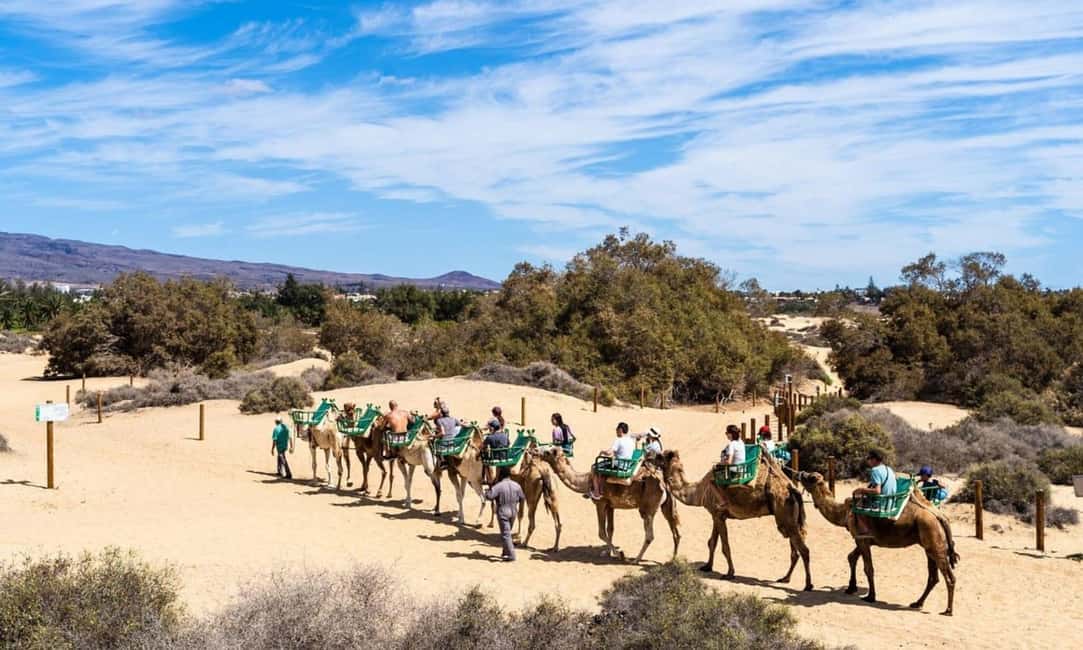 From Agadir: Camel Ride and Flamingo Trek - Agadir Pickup And The Short Rural Drive