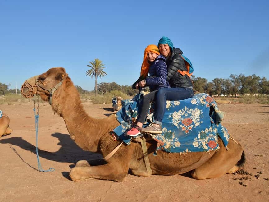 From Agadir: Camel Ride and Flamingo Trek - Royal Palace Glimpse, Then Ocean And Dunes