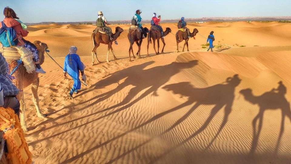 From Agadir: Camel Ride and Flamingo Trek - Mint Tea Finish: Hand-Washing And Photo Payments