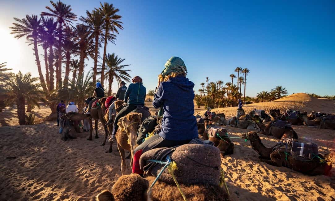 From Agadir: Camel Ride and Flamingo Trek - Value Check: Is $19 Good Value Here?
