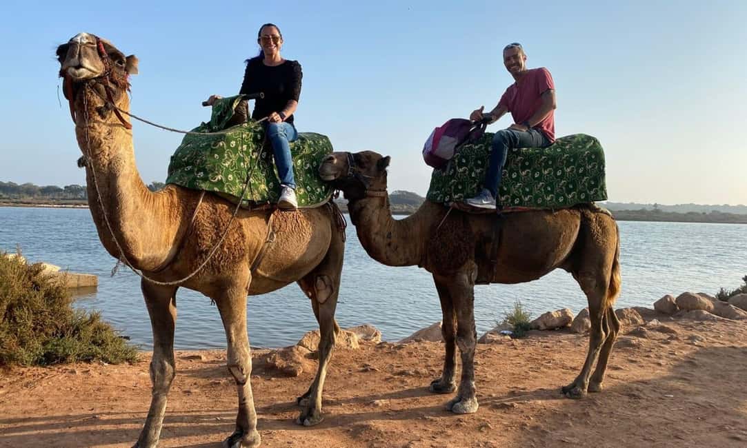 From Agadir: Camel Ride and Flamingo Trek - Should You Book This Camel Ride And Flamingo Trek?