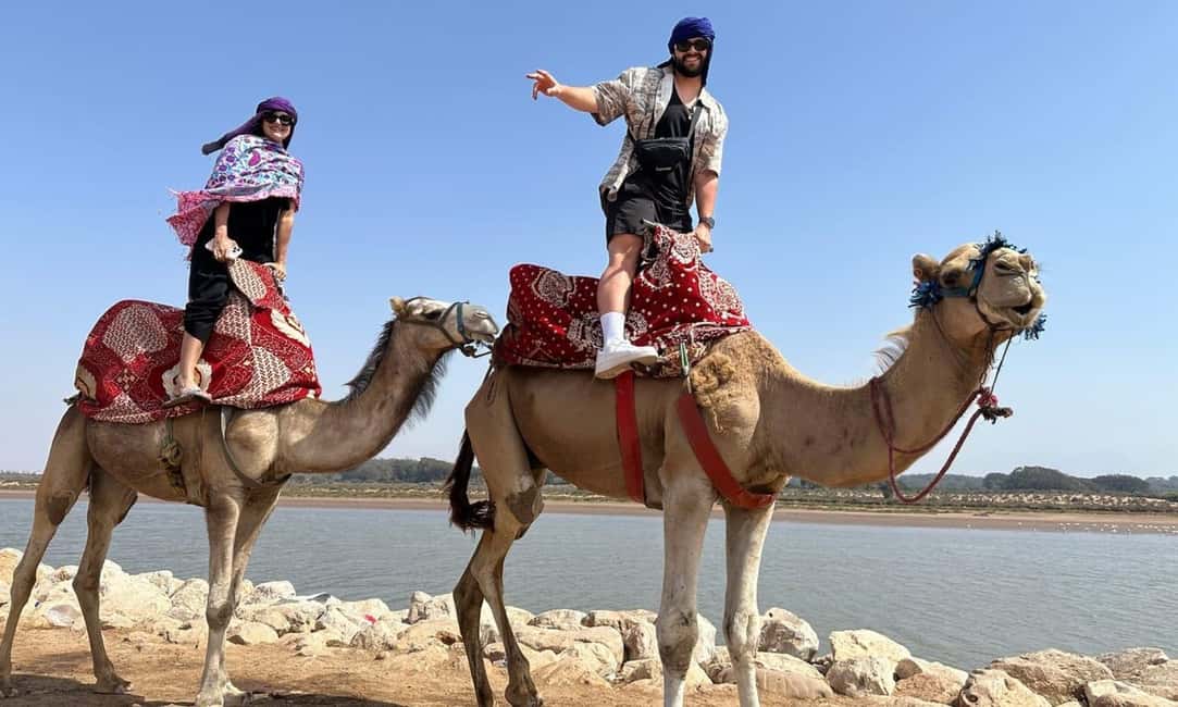 From Agadir: Camel Ride and Flamingo Trek - FAQ