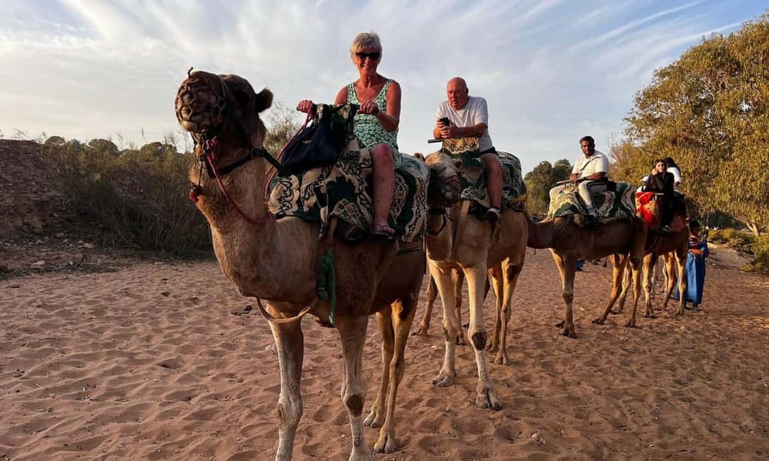 From Agadir: Camel Ride and Flamingo Trek - Forest Edges, Souss River, And Flamingo Expectations