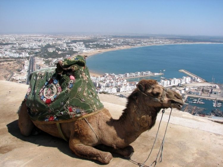 From Agadir: City Tour with Hotel or Port Transfers - Kasbah of Agadir Oufella: The View and the Ticket Detail