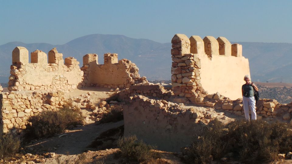 From Agadir: City Tour with Hotel or Port Transfers - Argan House Cooperative: Why the Argan Tree Matters