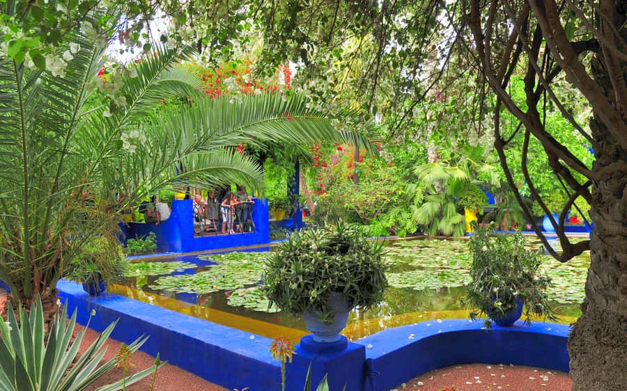 From Agadir: Guided Day Trip to Marrakech - The highlights that make this trip worth considering
