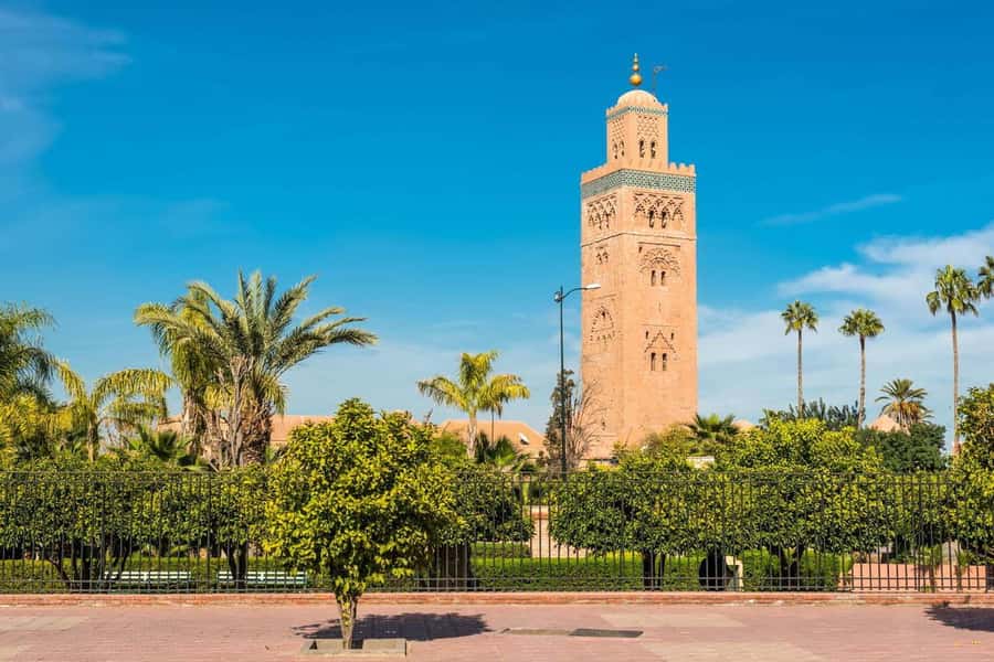 From Agadir: Guided Day Trip to Marrakech - Should You Book This Marrakech Day Trip?